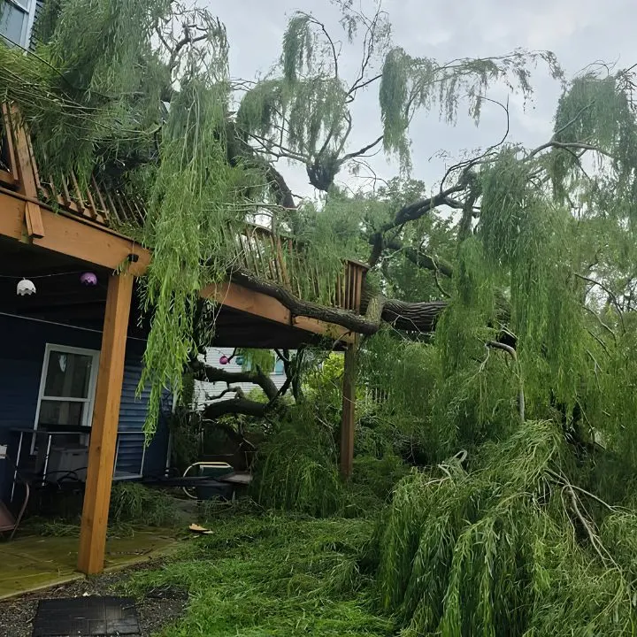 Storm Damage Cleanup Services