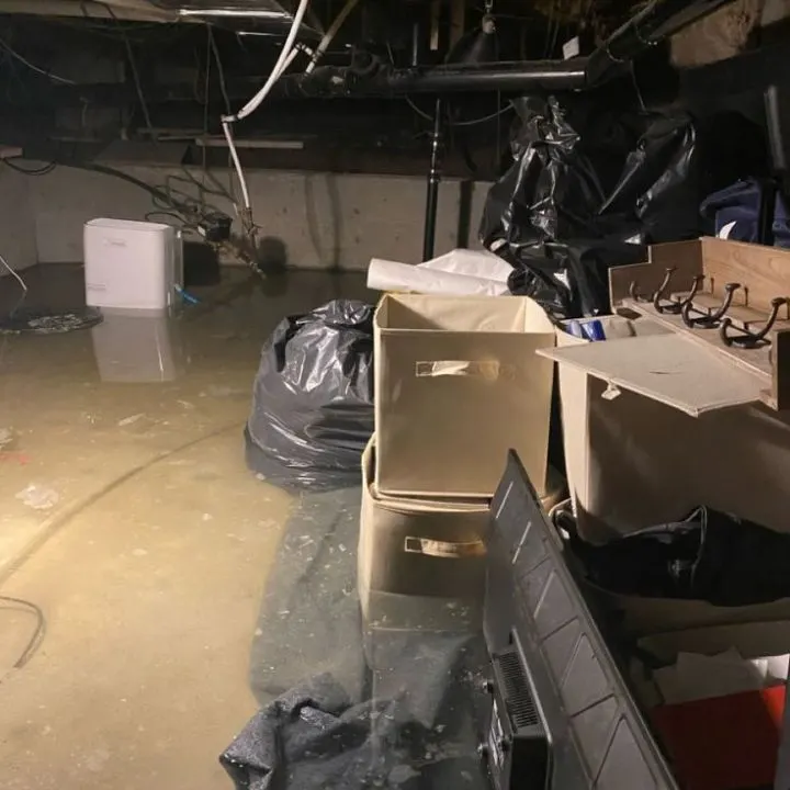Flooded Basement Cleanup Services